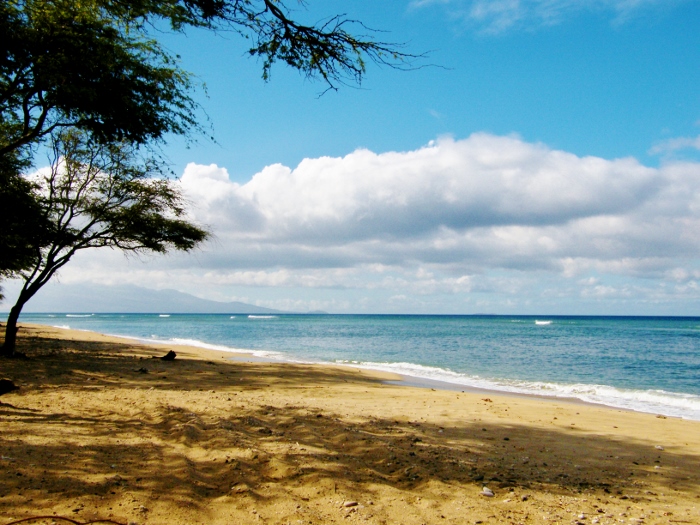 Leaving on a jet plane – off season kayaking holiday options 10