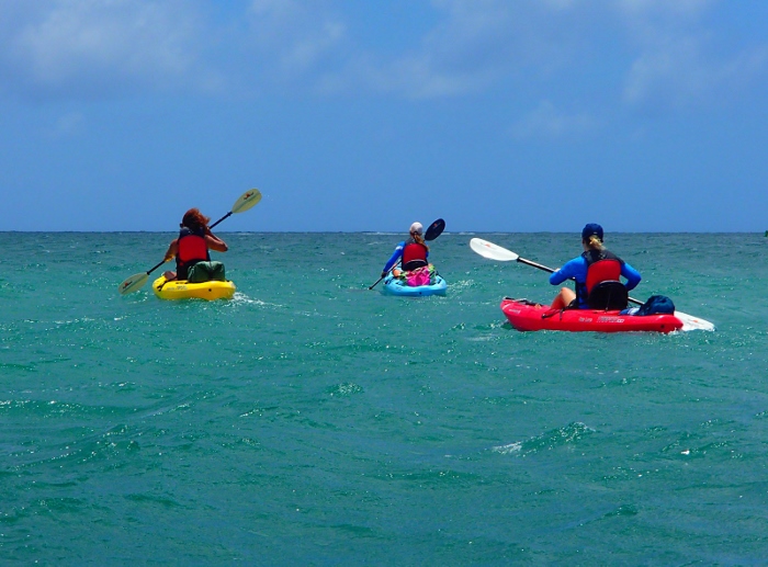 Open water kayak safety a day in the life... Sitons