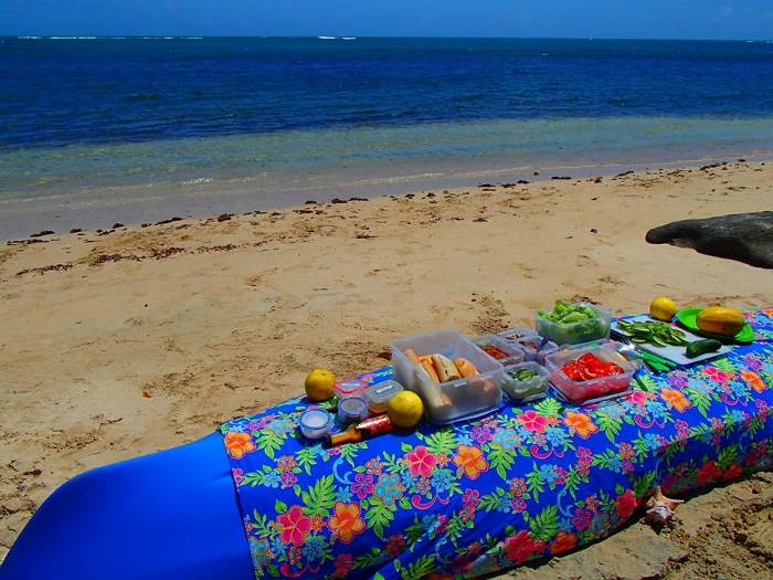 Spice Island kayaking – Grenadian paddling vibes 28 Spice Island kayaking – Grenadian paddling vibes 28